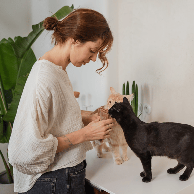 Kobieta karmiąca koty