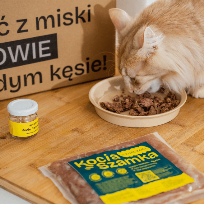 Kobieta karmiąca koty