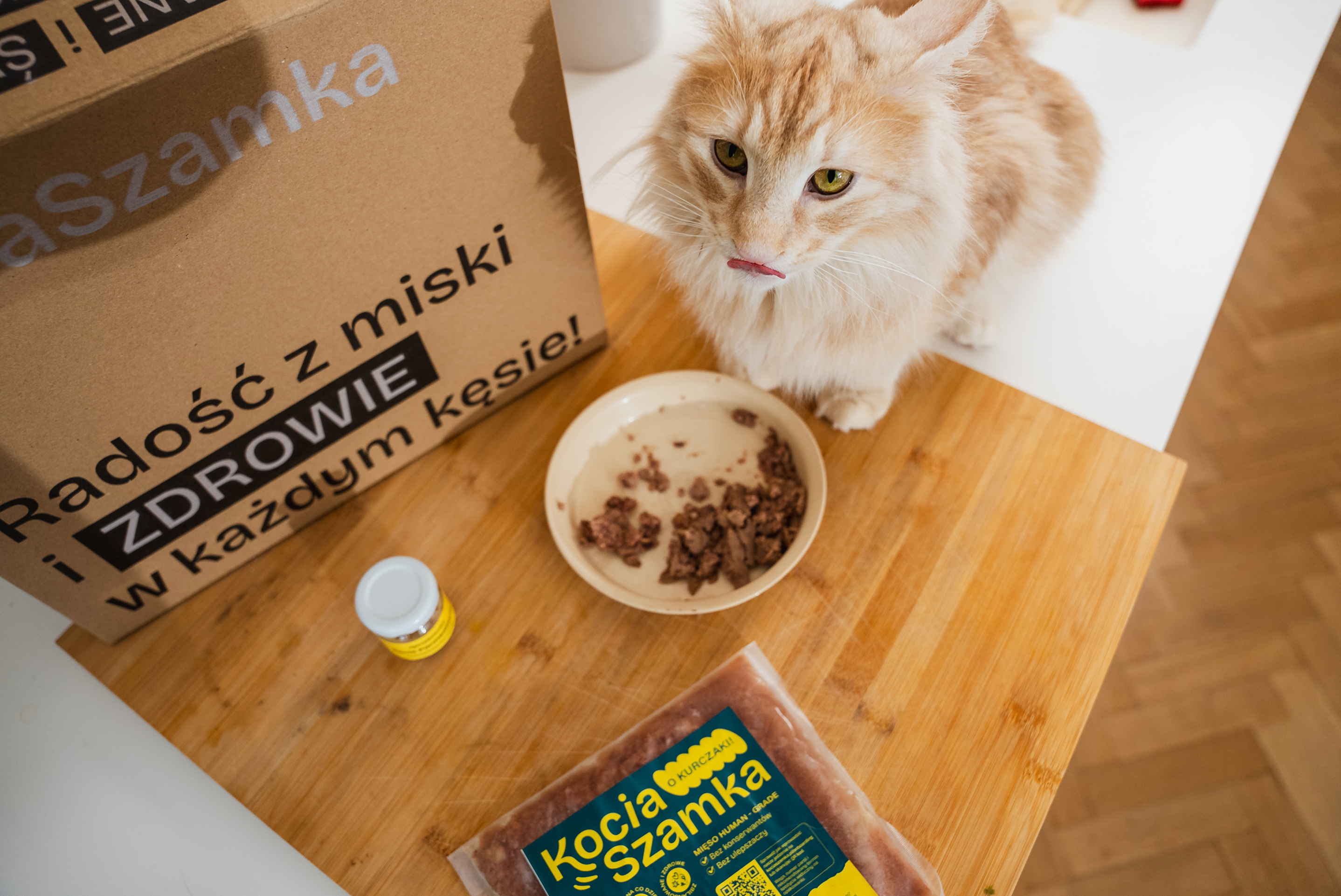 Kot jedzący świeżą karmę KociaSzamka