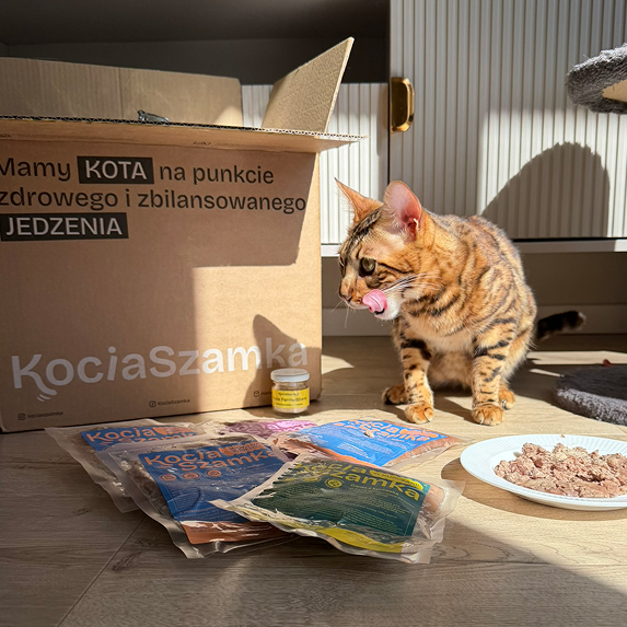 Kot obok otwartej paczki KociaSzamka
