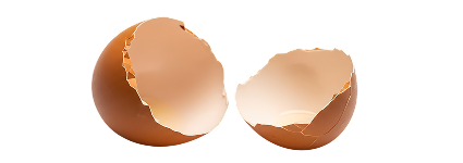 Skorupki jaj kurzych