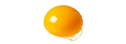 Żółtka jaj kurzych